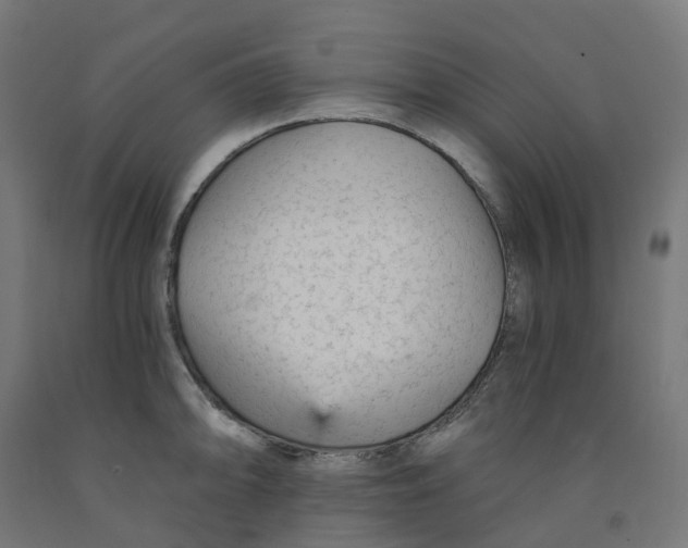 X0000091901094200710031817