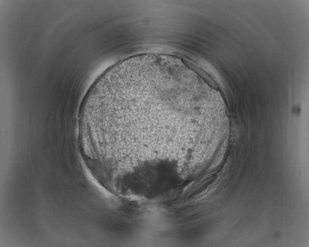 X0000091901095200710031817