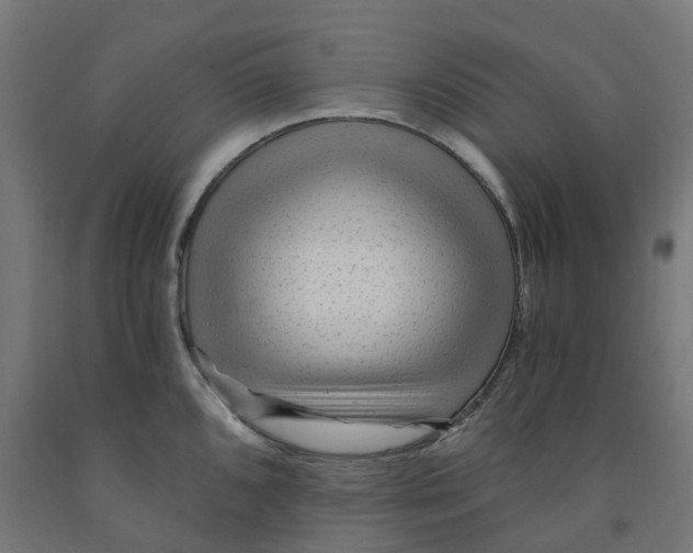 X0000091901096200710031817