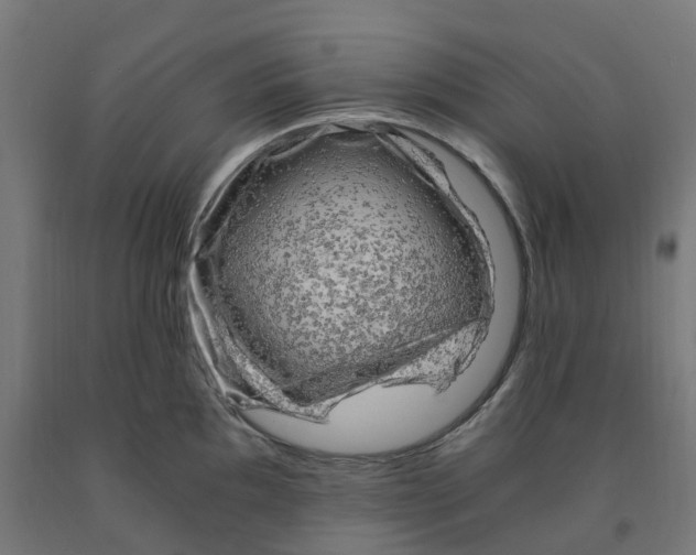 X0000091901097200710031817