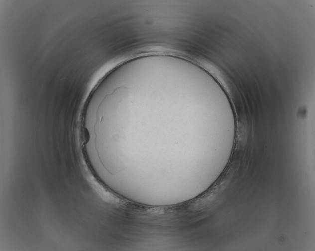 X0000091901098200710031817