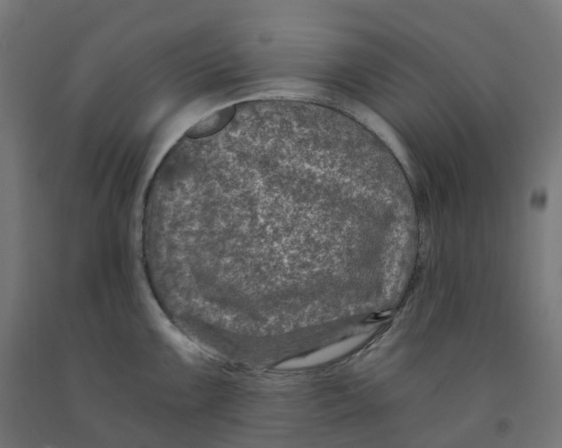 X0000091901099200710031817