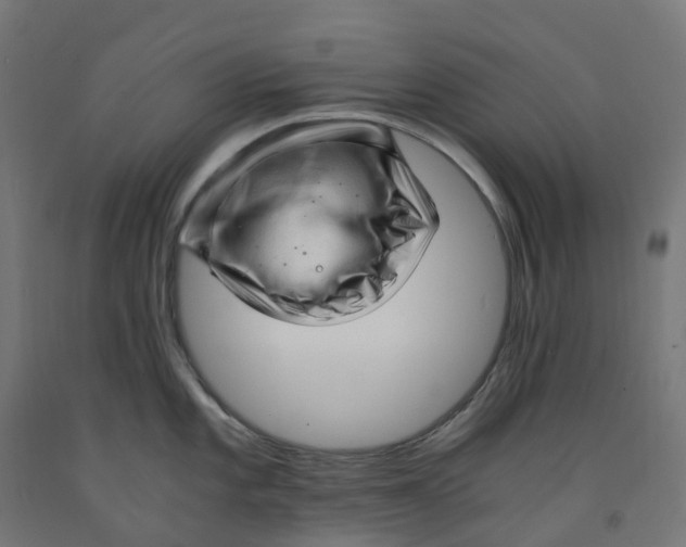 X0000091901101200710031817