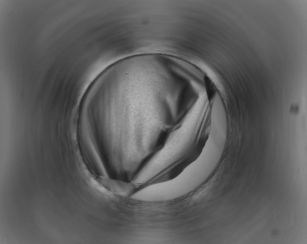 X0000091901102200710031817