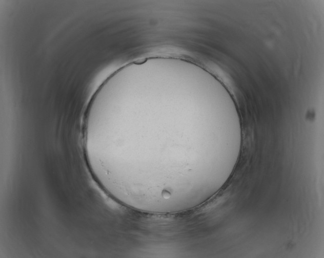 X0000091901103200710031817