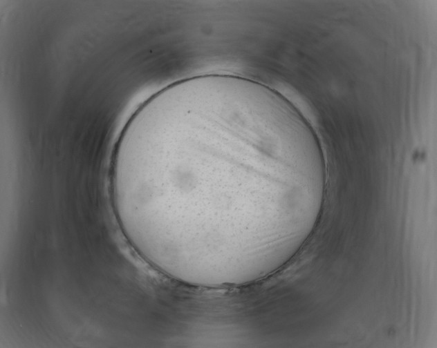 X0000091901104200710031817