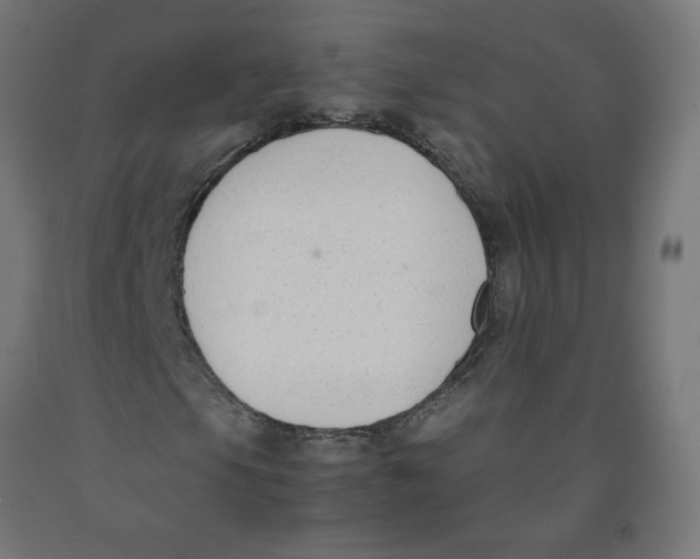 X0000091901105200710031817