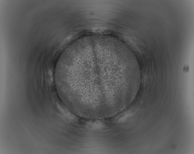 X0000091901106200710031817