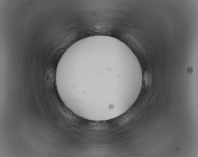 X0000091901107200710031817