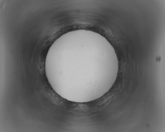 X0000091901109200710031817