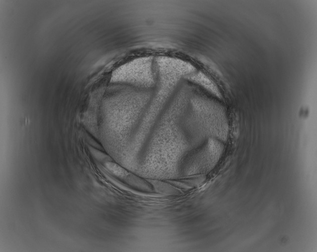 X0000091901110200710031817