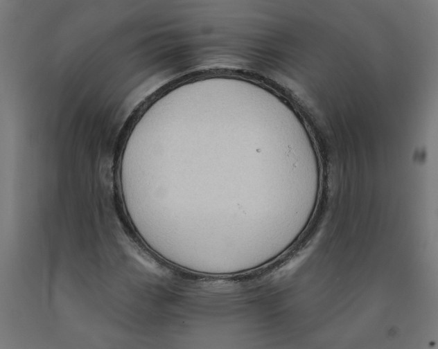 X0000091901113200710031817