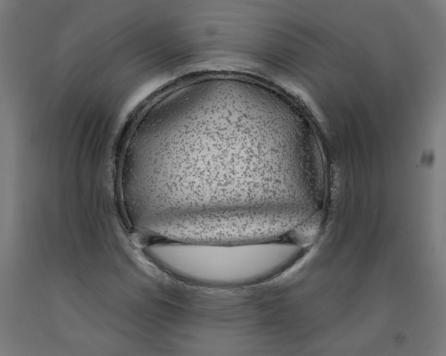 X0000091901114200710031817