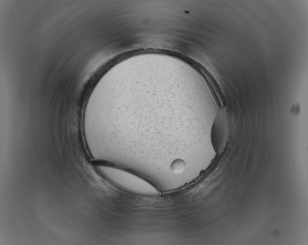 X0000091901115200710031817