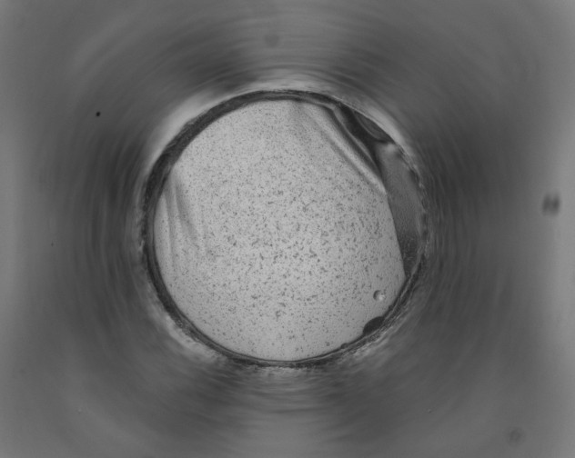 X0000091901116200710031817