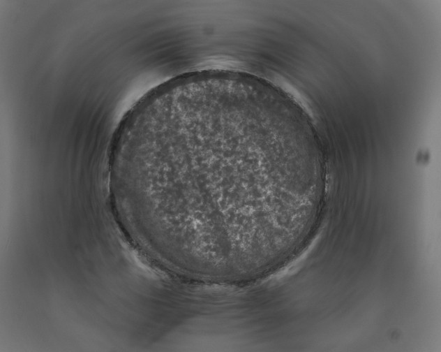 X0000091901117200710031817