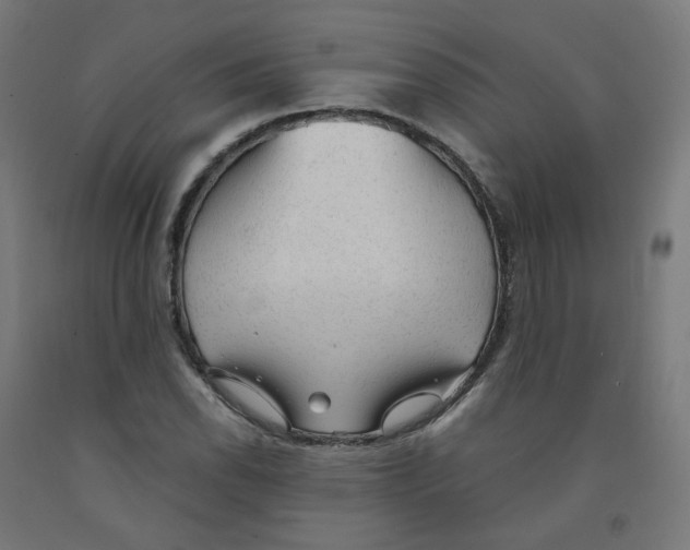 X0000091901118200710031817