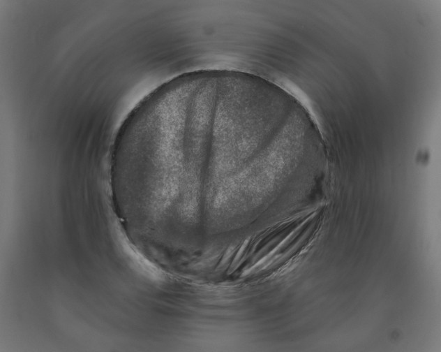 X0000091901120200710031817