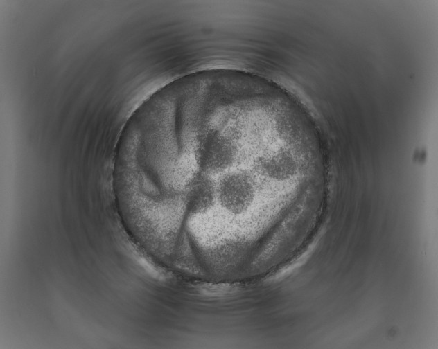 X0000091901121200710031817