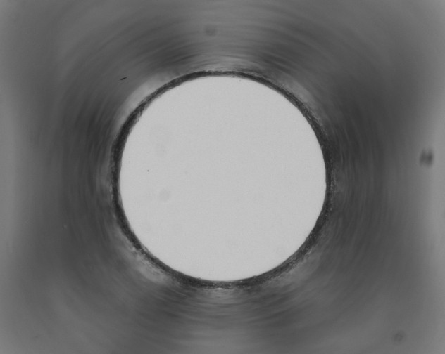 X0000091901122200710031817