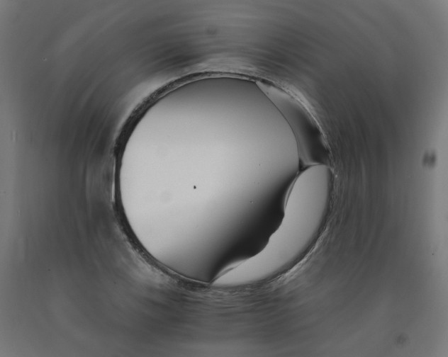 X0000091901123200710031817