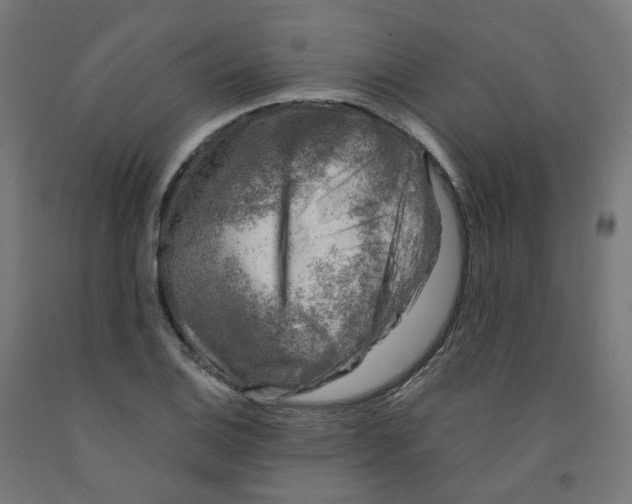 X0000091901124200710031817