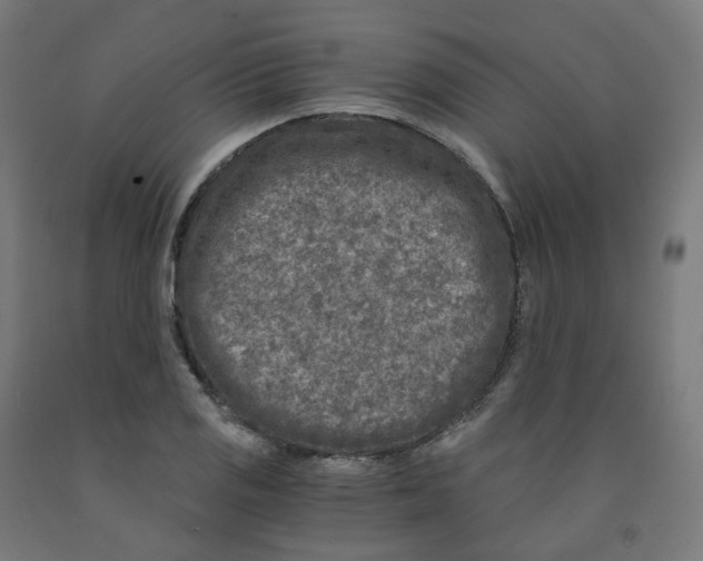 X0000091901125200710031817