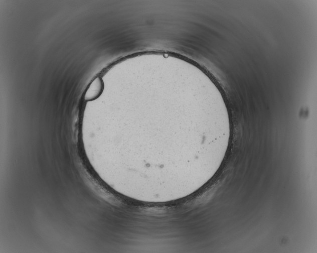 X0000091901126200710031817