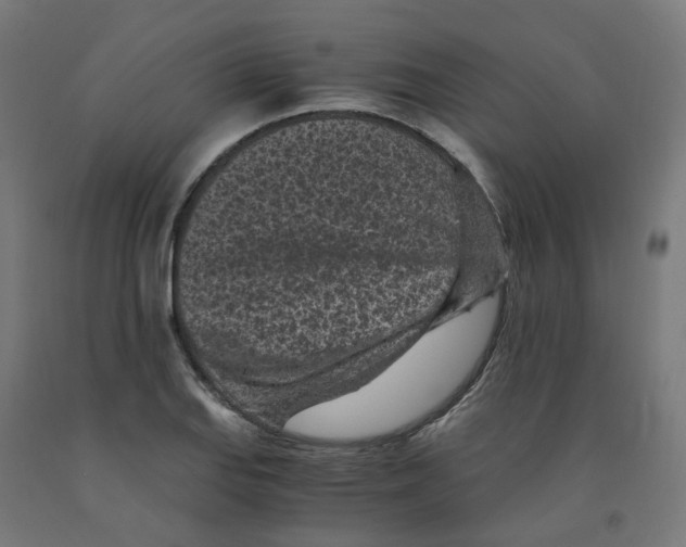 X0000091901127200710031817