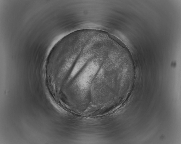 X0000091901128200710031817