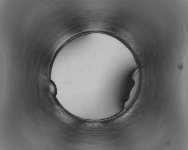 X0000091901129200710031817