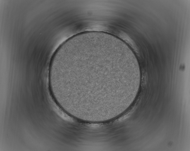 X0000091901130200710031817