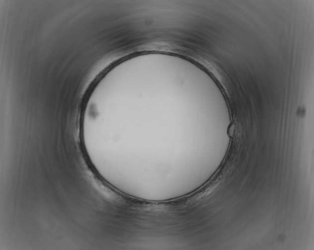 X0000091901131200710031817