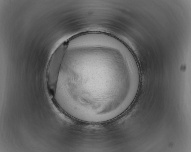 X0000091901133200710031817