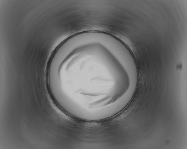 X0000091901135200710031817