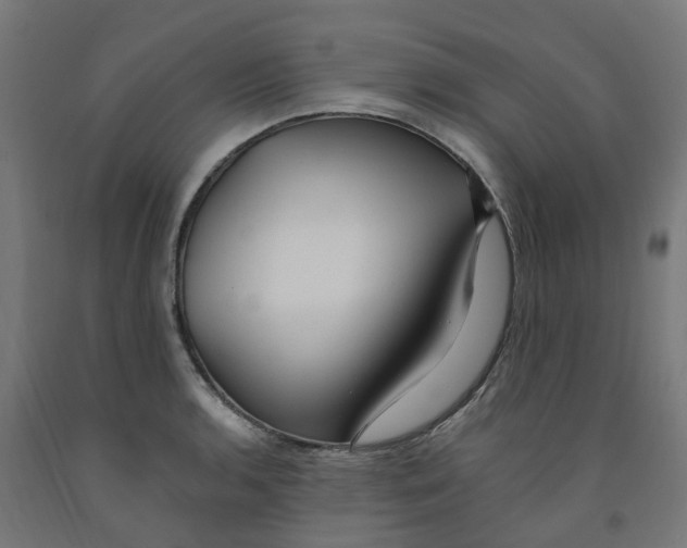 X0000091901136200710031817