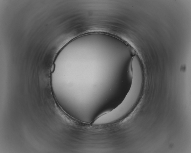 X0000091901137200710031817