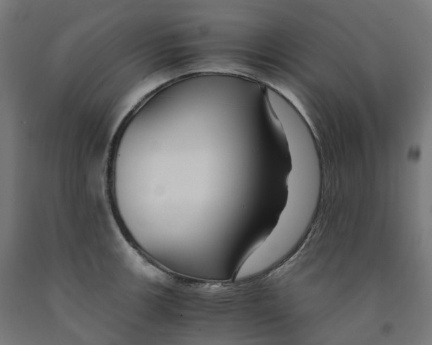 X0000091901139200710031817