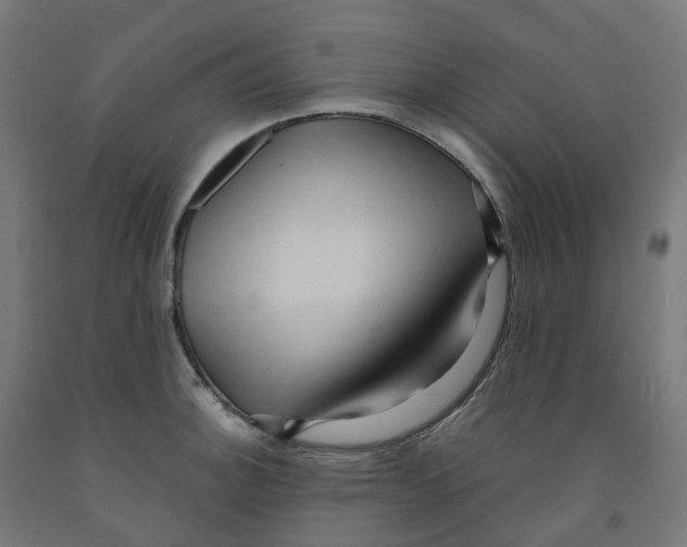 X0000091901140200710031817