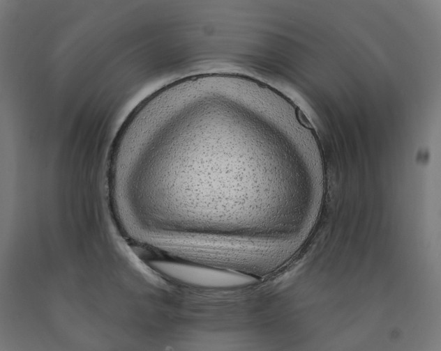 X0000091901142200710031817