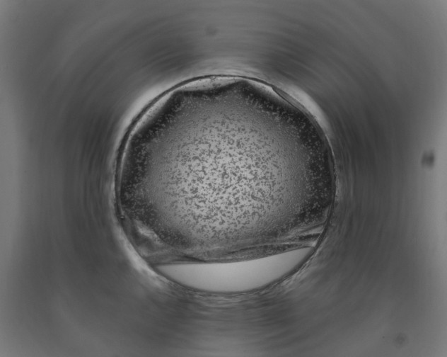 X0000091901144200710031817