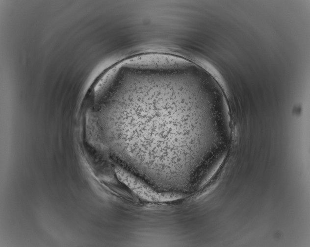 X0000091901146200710031817