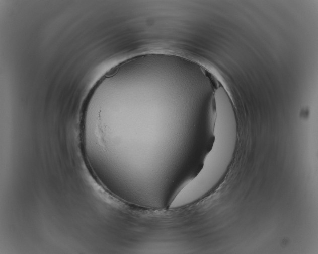 X0000091901147200710031817