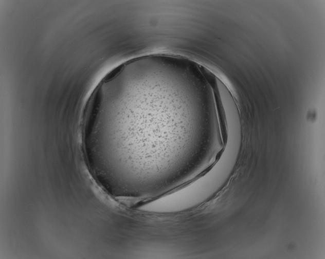 X0000091901148200710031817