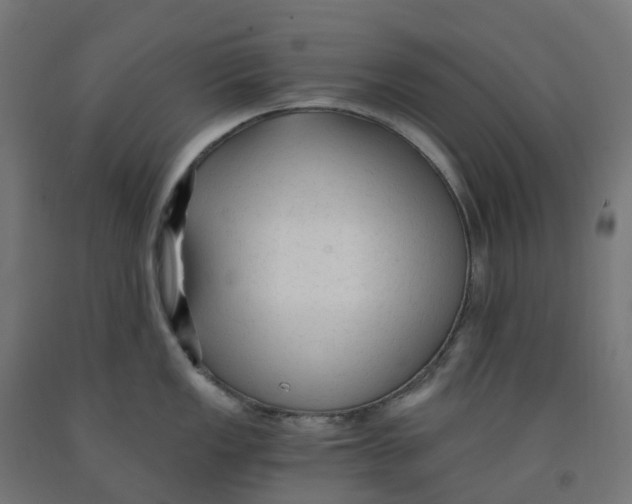 X0000091901149200710031817