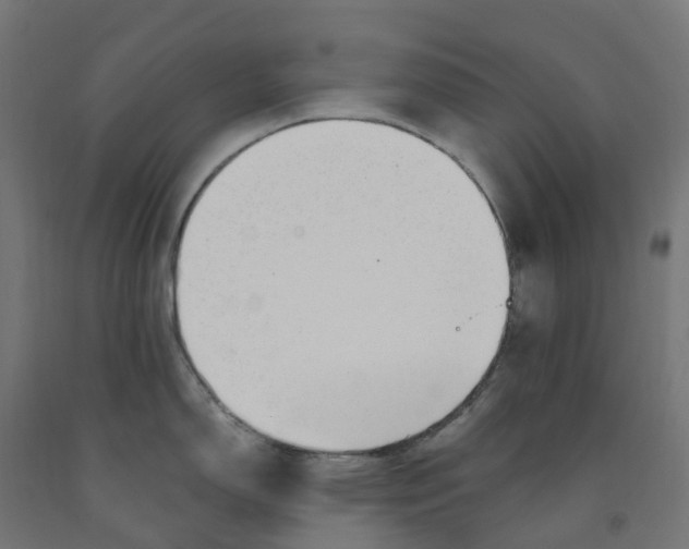 X0000091901150200710031817