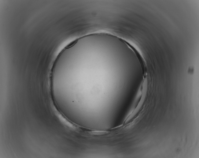 X0000091901151200710031817