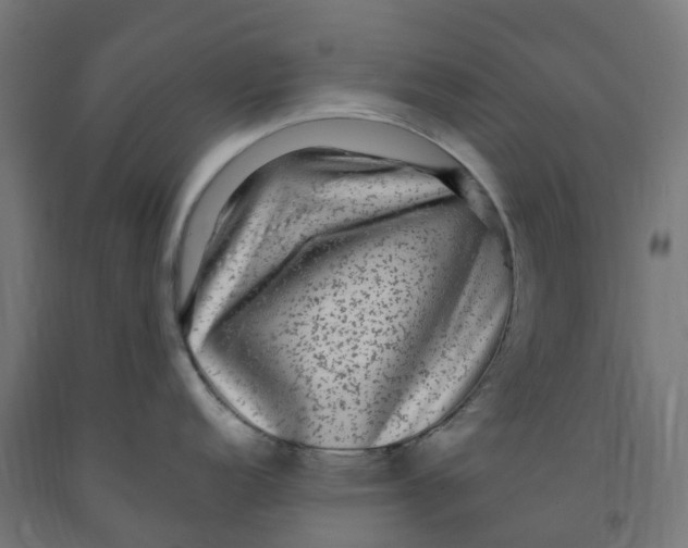 X0000091901152200710031817