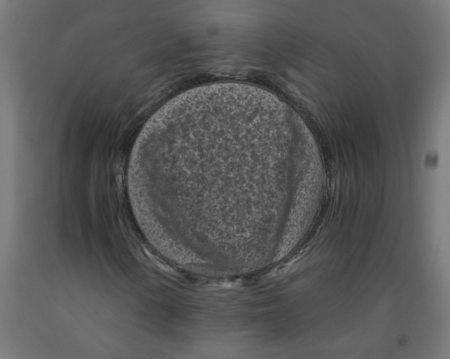 X0000091901154200710031817