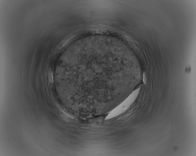 X0000091901155200710031817